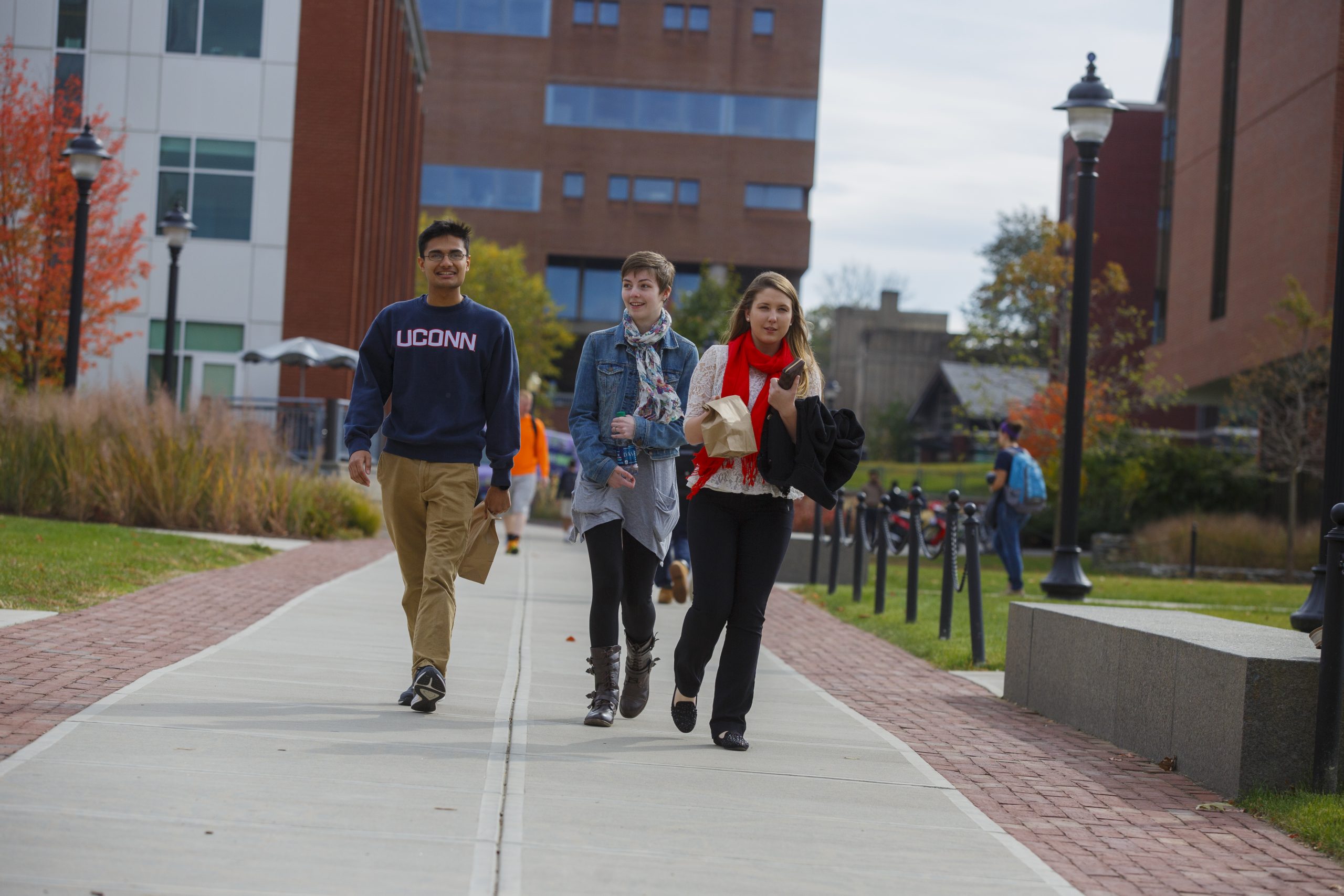 A male student wearing a blue sweatshirt that says "UCONN" and two female students walk down a sidewalk toward the camera, in the center of the UConn Storrs campus next to the Student Union Mall, with Homer Babbidge Library in the background and fall foliage on either side.